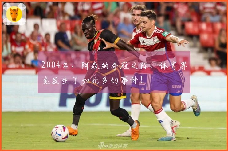 2004年，阿森纳夺冠之际，体育界竟发生了如此多的事件！